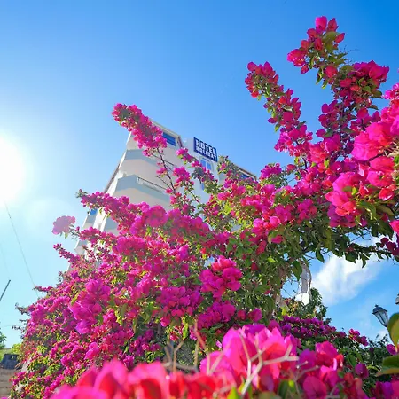 Hotel Holiday Hotel 3*