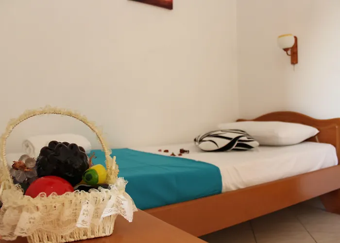 Hotel Holiday 3*